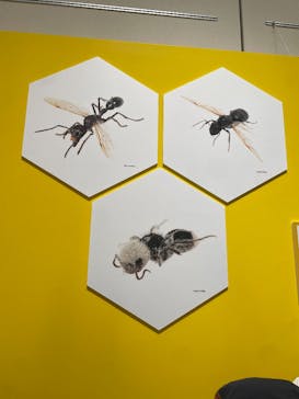 特別展 『昆虫 MANIAC』に投稿された画像（2025/9/23）