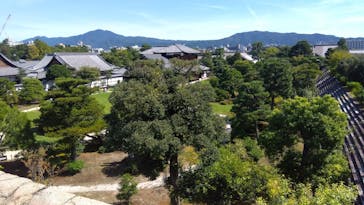 元離宮二条城に投稿された画像（2025/9/23）