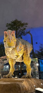 福井県立恐竜博物館に投稿された画像（2025/9/23）