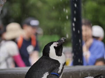 恩賜上野動物園に投稿された画像（2025/9/23）