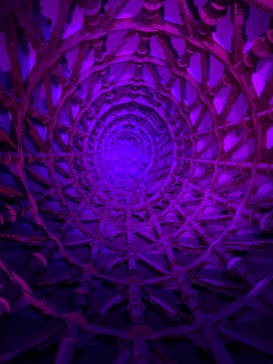 万博記念公園に投稿された画像（2025/9/23）