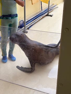 新江ノ島水族館に投稿された画像（2025/9/23）