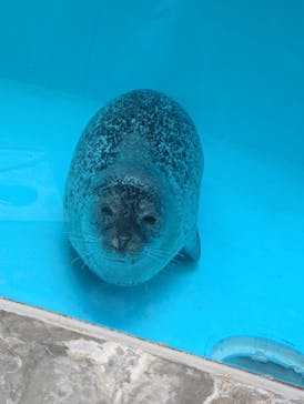 城崎マリンワールドに投稿された画像（2025/9/23）