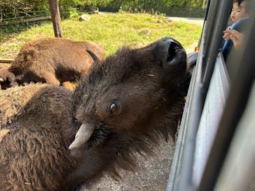 那須サファリパークに投稿された画像（2025/9/23）