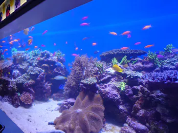 横浜・八景島シーパラダイスに投稿された画像（2025/9/23）