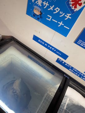 下田海中水族館に投稿された画像（2025/9/23）