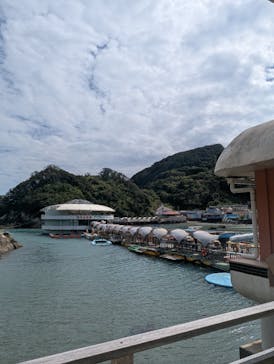 下田海中水族館に投稿された画像（2025/9/23）