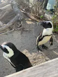 仙台うみの杜水族館に投稿された画像（2025/9/23）
