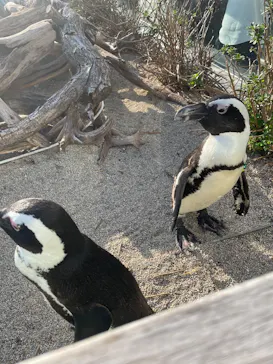 仙台うみの杜水族館に投稿された画像（2025/9/23）
