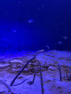 仙台うみの杜水族館に投稿された画像（2025/9/23）