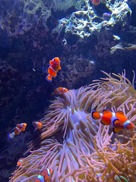 仙台うみの杜水族館に投稿された画像（2025/9/23）