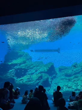 仙台うみの杜水族館に投稿された画像（2025/9/23）