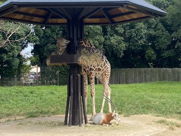 東武動物公園に投稿された画像（2025/9/23）