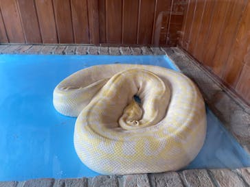 東武動物公園に投稿された画像（2025/9/23）