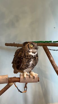 Moff animal cafe MARKIS 福岡ももち店に投稿された画像（2025/9/23）