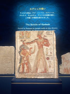 ACN ラムセス大王展 ファラオたちの黄金に投稿された画像（2025/9/23）