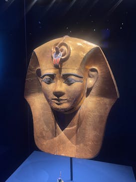 ACN ラムセス大王展 ファラオたちの黄金に投稿された画像（2025/9/23）