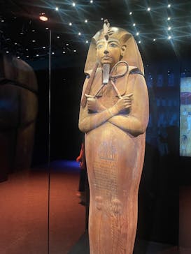 ACN ラムセス大王展 ファラオたちの黄金に投稿された画像（2025/9/23）