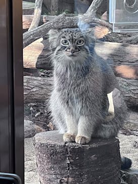 那須どうぶつ王国に投稿された画像（2025/9/23）