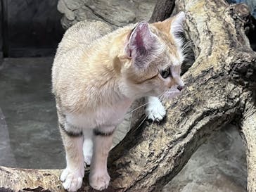 那須どうぶつ王国に投稿された画像（2025/9/23）