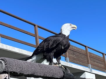 那須どうぶつ王国に投稿された画像（2025/9/23）