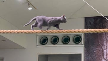 那須どうぶつ王国に投稿された画像（2025/9/23）