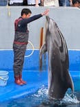 大分マリーンパレス水族館 「うみたまご」に投稿された画像（2025/9/23）
