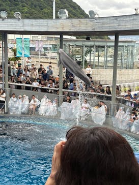 大分マリーンパレス水族館 「うみたまご」に投稿された画像（2025/9/23）