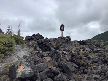 北八ヶ岳ロープウェイに投稿された画像（2025/9/23）