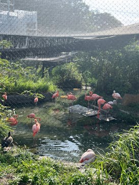 名古屋市東山動植物園に投稿された画像（2025/9/23）