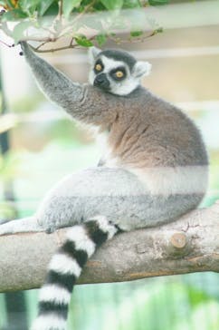 恩賜上野動物園に投稿された画像（2025/9/23）