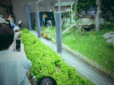 恩賜上野動物園に投稿された画像（2025/9/23）