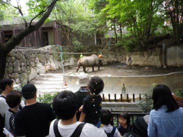 恩賜上野動物園に投稿された画像（2025/9/23）