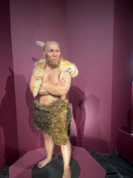 特別展「氷河期展 〜人類が見た4万年前の世界〜」（国立科学博物館）に投稿された画像（2025/9/23）