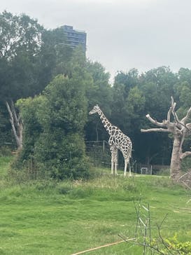 天王寺動物園に投稿された画像（2025/9/23）
