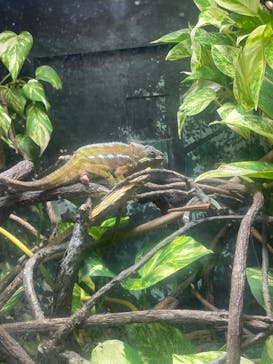 天王寺動物園に投稿された画像（2025/9/23）