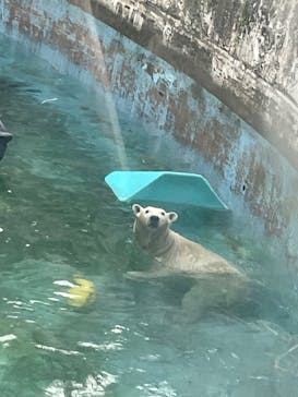 天王寺動物園に投稿された画像（2025/9/23）