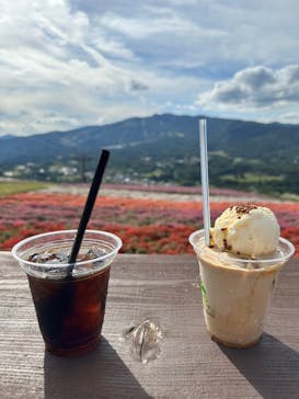 ひるがのピクニックガーデンに投稿された画像（2025/9/23）