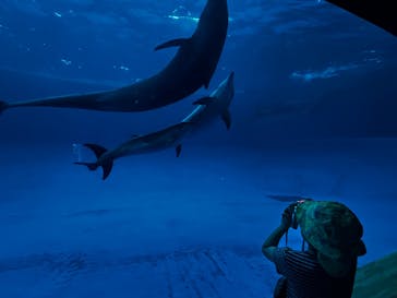 アクアワールド茨城県大洗水族館に投稿された画像（2025/9/23）