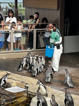 アクアワールド茨城県大洗水族館に投稿された画像（2025/9/23）