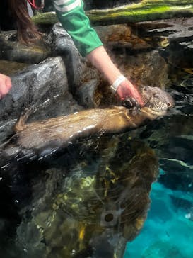 アクアワールド茨城県大洗水族館に投稿された画像（2025/9/23）