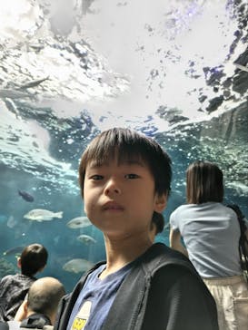 新江ノ島水族館に投稿された画像（2025/9/23）