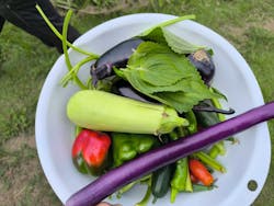 空と大地の丘森本農園に投稿された画像（2025/9/23）