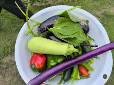 空と大地の丘森本農園に投稿された画像（2025/9/23）
