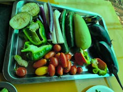 空と大地の丘森本農園に投稿された画像（2025/9/23）