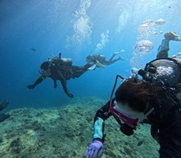 武藤潜水に投稿された画像（2025/9/18）