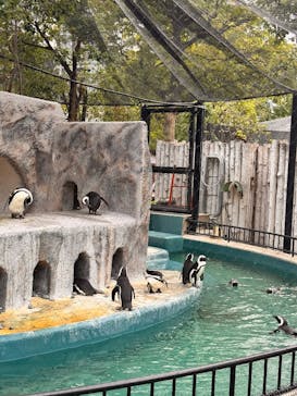 恩賜上野動物園に投稿された画像（2025/9/23）