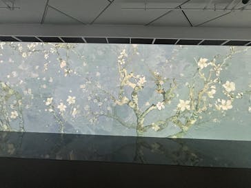 ゴッホ展　家族がつないだ画家の夢（東京都美術館）に投稿された画像（2025/9/23）