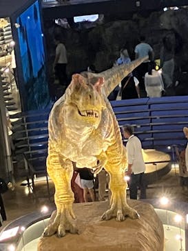 福井県立恐竜博物館に投稿された画像（2025/9/23）