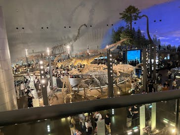 福井県立恐竜博物館に投稿された画像（2025/9/23）